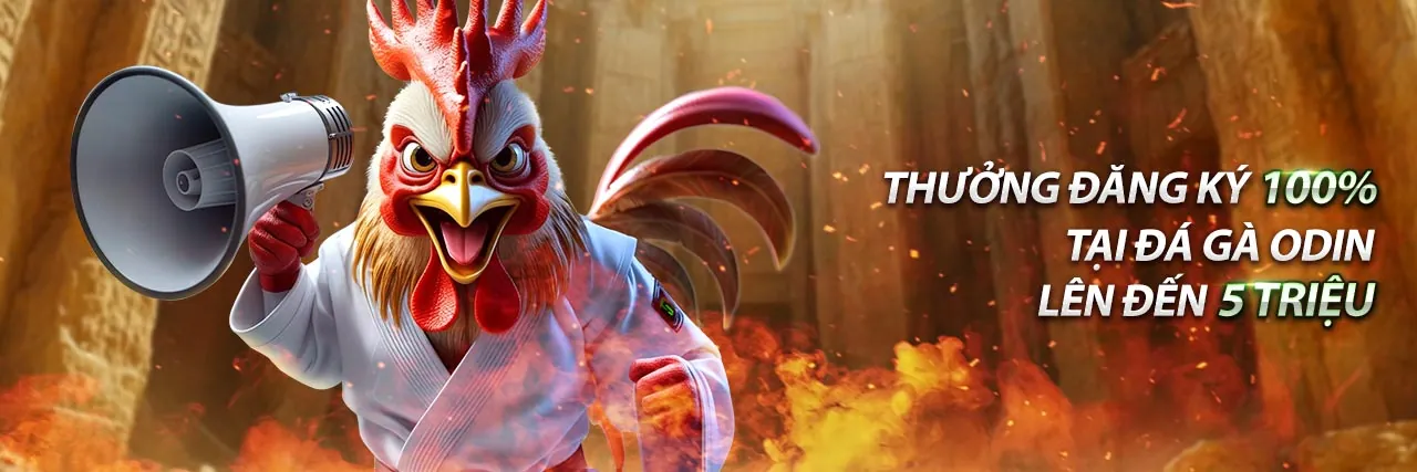 Ưu đãi và khuyến mãi hấp dẫn tại 33win01